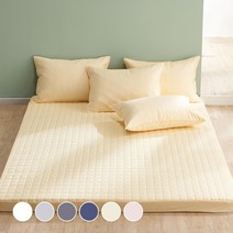 시드니 순면100% 라텍스커버 10cm, 옐로우