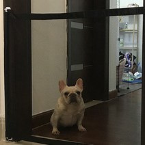 재미월드 강아지 철조망 울타리 2p, 블랙