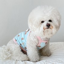 바이담수미 강아지 먼지곰 끈나시, 블루