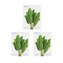 어프리 바나나잎 북마크펜 0.8mm, 그린, 3개