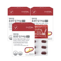 엔바이탈 홍경천 밀크씨슬 밤새 42g, 3개, 60정