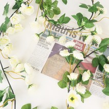 마메 조화 장미 넝쿨, 2 화이트