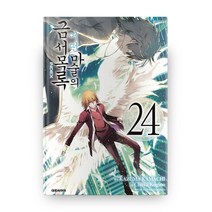 어떤 마술의 금서목록 24:, 대원씨아이