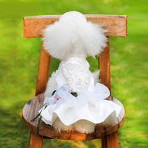 알럽펫 반려동물 꽃사지 드레스, 화이트