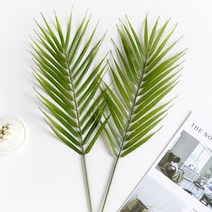 리드홈 조화 아레카야자 4p, 그린