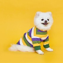 플로트 강아지 스탠다드 유니크 맨투맨, 옐로우퍼플