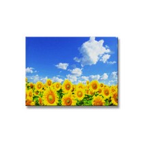 인디홈 초보자용 DIY 보석 십자수 명화 제작 키트, FR01, 1세트