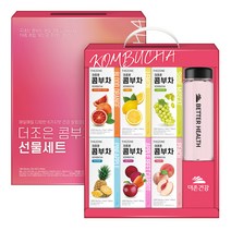 더존건강 콤부차 보틀 선물세트, 1세트, 콤부차 6종 x 10p + 보틀 500ml