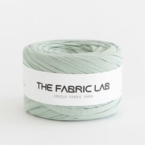 THEFABRICLAB 패브릭얀 뜨개실 300g, 03 더스티아쿠아, 80m