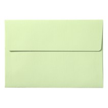 투영 파스텔 청첩장 앤 엽서봉투 랜덤발송, 100개, 그린