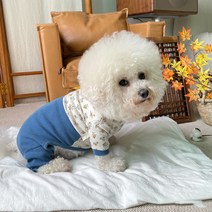 바이담수미 강아지 아기꽃 한복 올인원, 블루