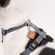 뽀시래기 강아지 동물등록 RFID 외장칩 인식표 후크형 가죽, 2