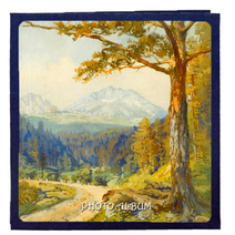 스타 터치 아트 포토 앨범 27 x 28 cm, 08 작은길 + 화이트, 40매
