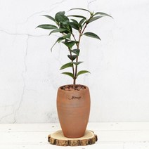 마마스스튜디오 오리지널빈티지 브라우니팟 수제 토분