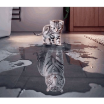 루시앤에밀리 보석십자수 구슬 비즈 DIY 키트, 1개, Believe in Yourself