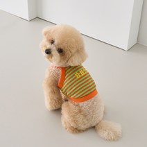 베니즈 강아지 타이니 베어 크롭 탑, 오렌지