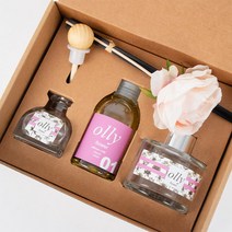 올리 디퓨저 선물세트, 10 도손