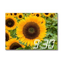 홈마인 캔버스 프린팅 액자 시리즈 LED 시계 해바라기 풍경 A3, 6
