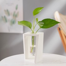 밍샴라이프 수경재배 원목화분 화이트, 1개