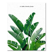 아디코 DIY 페인팅 정물화 명화그리기 50 x 40 cm, 풍성한 몬스테라잎(PG58)