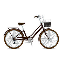 지오닉스 자전거 샤론2607, 브라운, 146cm