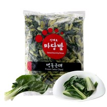 마당발 냉동 근대 나물 1kg, 단품