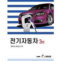 [개똥이네][중고-중] 전기자동차