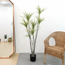 1300K 고급 인조나무 조화화분 드라세나 마지나타 160cm, 단품