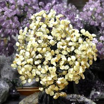 황수정 나무 관상석 개인소장용 전시용 HSP-1283, 단품