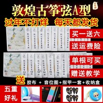 가야금 줄 25현가야금 12현가야금 거문고 고정현 둔황 A형 현 표준 범용형 1-21현 1-5현 풀 세트