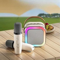 가정용 기계 노래방 블루투스 차량용 마이크 이동식, 핑크-싱글마이크