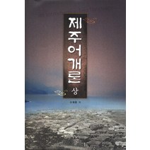 제주어개론(상), 보고사, 고재환 저
