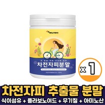 차전자피 가루 마시는 식이섬유 플라보노이드 무기질 씨앗껍질 파우더 타먹는 먹는법, 1통, 차전자피분말 300g