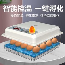 병아리부화기 인큐베이터 소형 가정용 거위 메추리알, 상세확인, 07.거품(단일전동) 무음 부화 32개