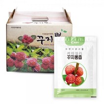 케이셀러 꾸지뽕즙 구지뽕 진액 100ml 60포