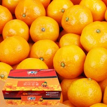 농협공판장 정성드린 노지감귤 5kg(M-2S/47-94과내)
