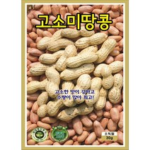 고소미 땅콩씨앗 30g