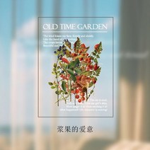 빈티지다꾸 패키지 랜덤박스 스티커 1005003653026531, d