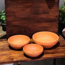 UFO 낮은토분 키작은 분재화분 16x5cm 2개 미니정원