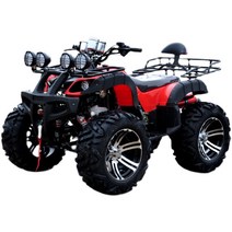 4륜 오토바이/4륜 바이크 산악 농사 농촌/250cc/ATV, 빅불 패키지 에이트 250cc 스탠다드 에디션