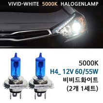 5000K 비비드화이트 현대 뉴엑센트 10-17년 전조등 상향등 하향등 안개등 자동차램프, 1세트, 5000K 뉴엑센트 상향등 H4(2개1세트), H4