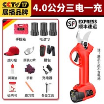 사과대추나무 가지치기 방법 전지가위 전동가위, 단일사이즈, 4cm/배터리3개+충전기