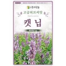 썸머 세이보리 1g - 허브 허브씨 허브씨앗 씨 씨앗 세이보리씨앗 세이보리씨 꽃씨 꽃씨앗 허브꽃 Savory, 18_다농_캣닙(1g)