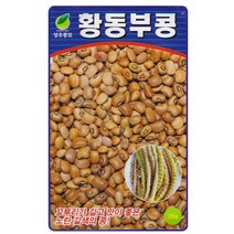성우 황동부콩 씨앗 30g