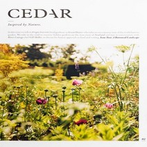 Cedar Uk 2019년no.2 (주)월드메거진