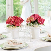 독일 레츄자 미니 델티니 플라스틱 화분, 화이트