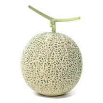 국내산 머스크 멜론 6kg (공주 부여 칠갑산 곡성), 5~6수