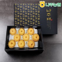 [나주농협APC] 명품 나주배 신고배 선물세트 5kg(9입이내), 단품