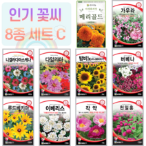 꽃씨 10종 세트 C 메리골드 작약 니겔라 다알리아 해바라기 버베나 루드베키아 꽃 씨앗
