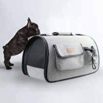 오너클랜 반려견 외출용품 스포츠 이동가방 캐리어백, 연두 땡땡이